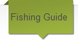 Fishing Guide